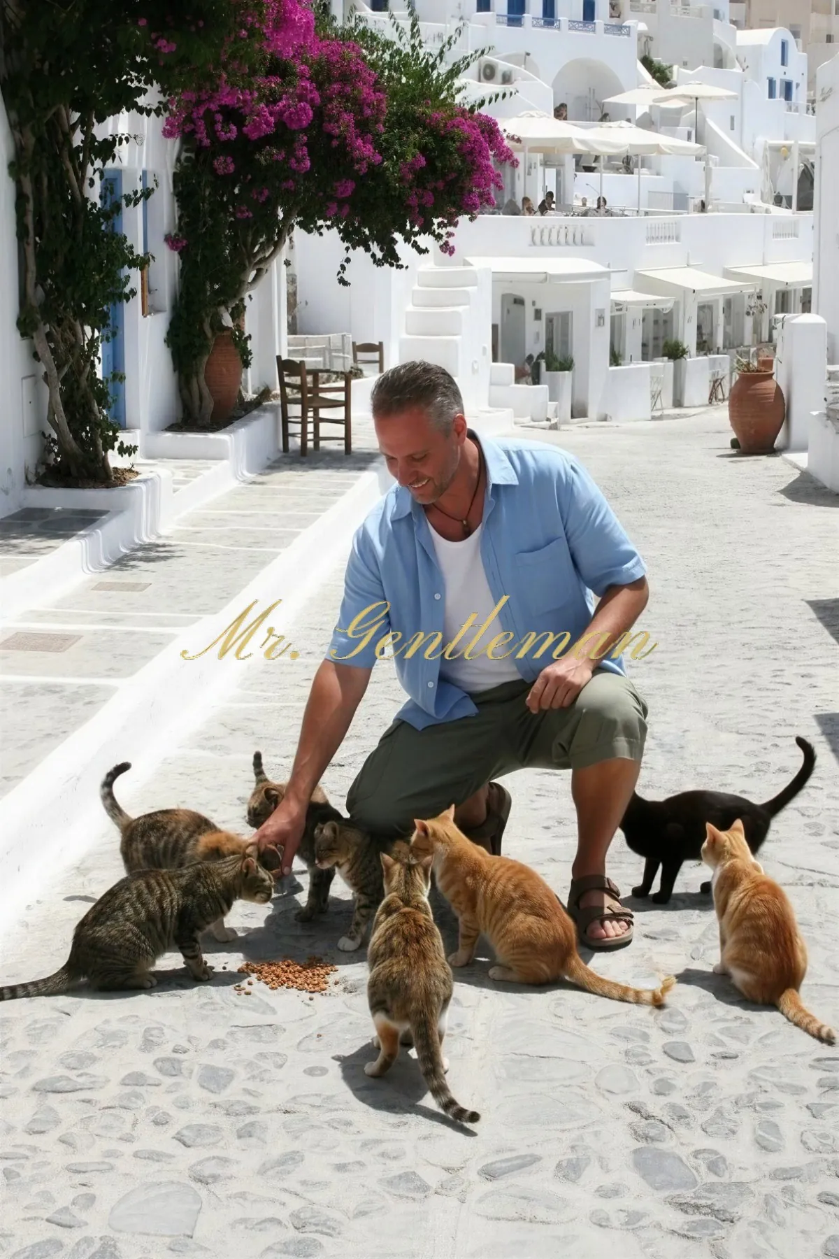 Mr. Gentleman feeding the cats in a whitewashed village street in Bali, Crete